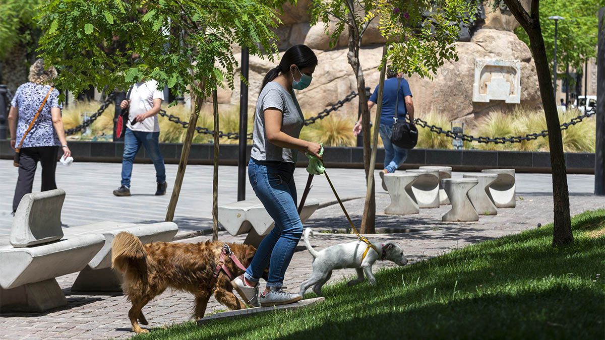 Este jueves habrá ascenso de temperatura en Mendoza, a pleno sol, ya que la máxima llegará a los 21º