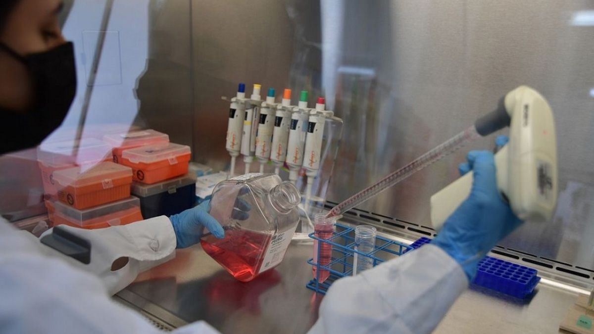 Los científicos del Conicet trabajaron a destajo en la época de la pandemia. Los científicos del Conicet trabajaron a destajo en la época de la pandemia.