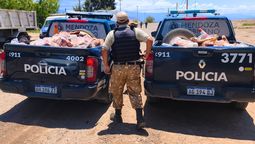 Encontraron carne de caballo de uno de los locales. Encontraron carne de caballo de uno de los locales.