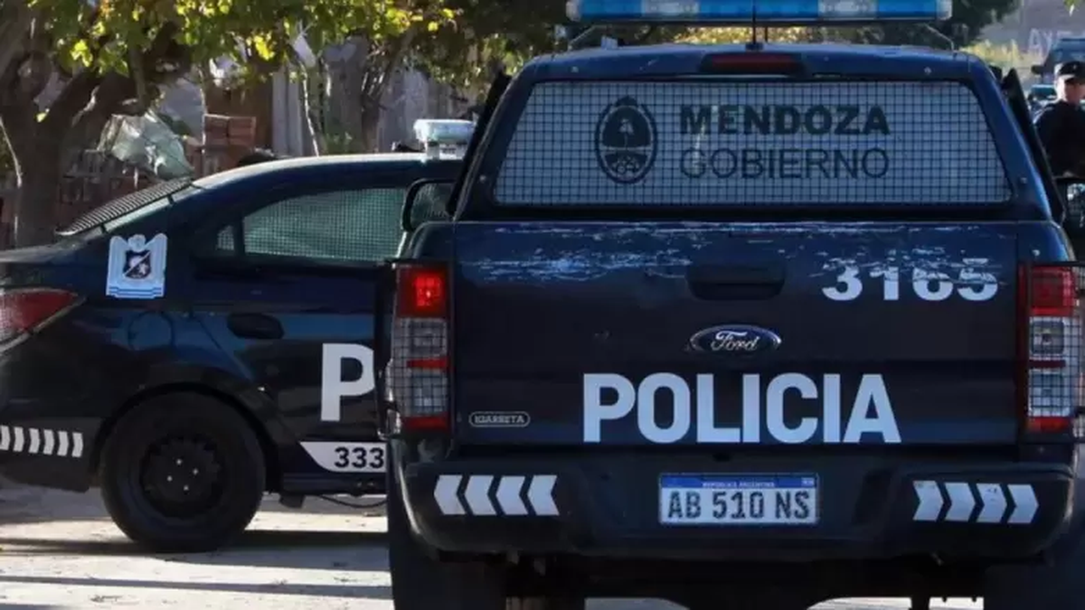 El rodado Dodge 1500 qued&oacute; tendido a un costado de la calzada tras la brusca p&eacute;rdida de control de su conductor.
