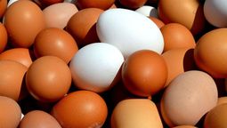 Los huevos blancos, por lo general, son ligeramente más económicos que los de color.