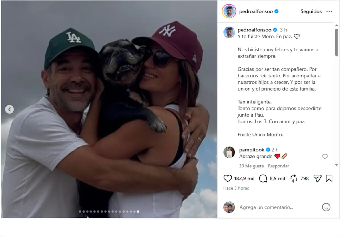 Paula Chaves y Pedro Alfonso devastados por la muerte de su perro Moro. Paula Chaves y Pedro Alfonso devastados por la muerte de su perro Moro.