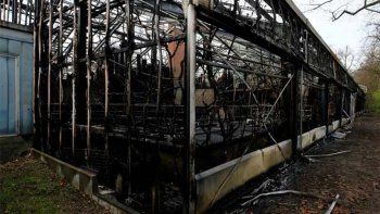 Murieron 30 animales de un zoológico por un incendio causado por pirotecnia