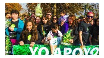 La marihuana devuelve la esperanza a niños epilépticos de Chile