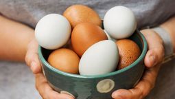 El huevo puede tener distintas pigmentaciones, dependiente de la alimentación y plumaje de la gallina.