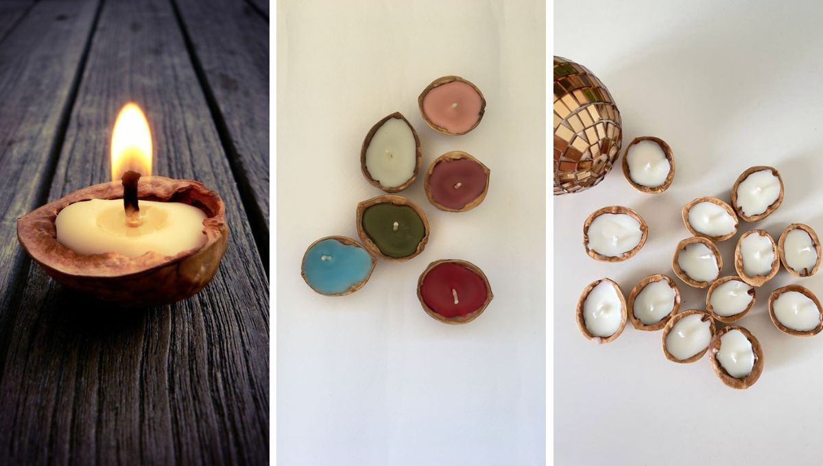 Cáscaras de nueces recicladas. Cáscaras de nueces recicladas.