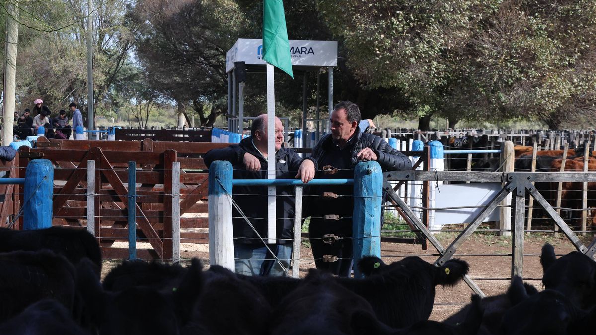 Así se vivió la jornada del viernes en la Fiesta de la Ganadería en General Alvear. Así se vivió la jornada del viernes en la Fiesta de la Ganadería en General Alvear.