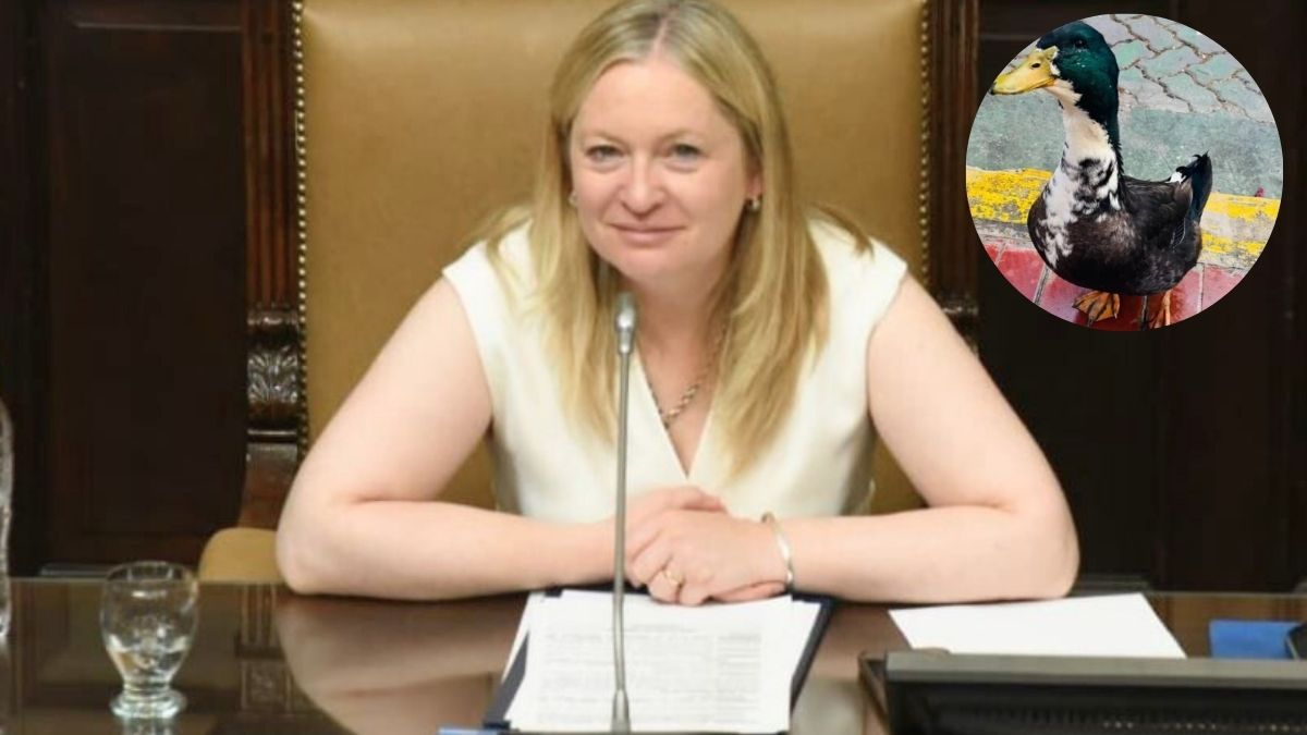 Hebe Casado salió a defender al pato Juan en sus redes sociales.