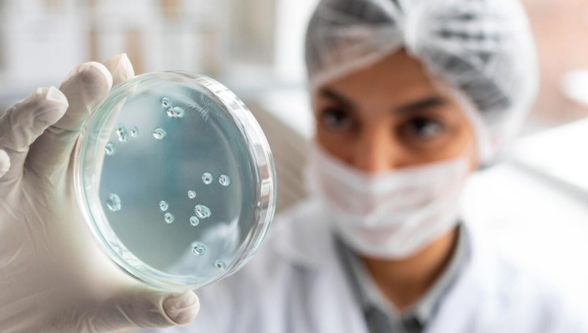 El virus mortal que vuelve a preocupar: no hay vacuna y se contagia a través de personas, frutas y animales