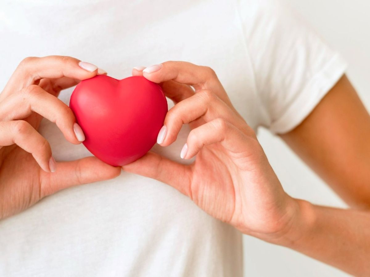 Los científicos descubren una proteína esencial para el buen funcionamiento del corazón Los científicos descubren una proteína esencial para el buen funcionamiento del corazón