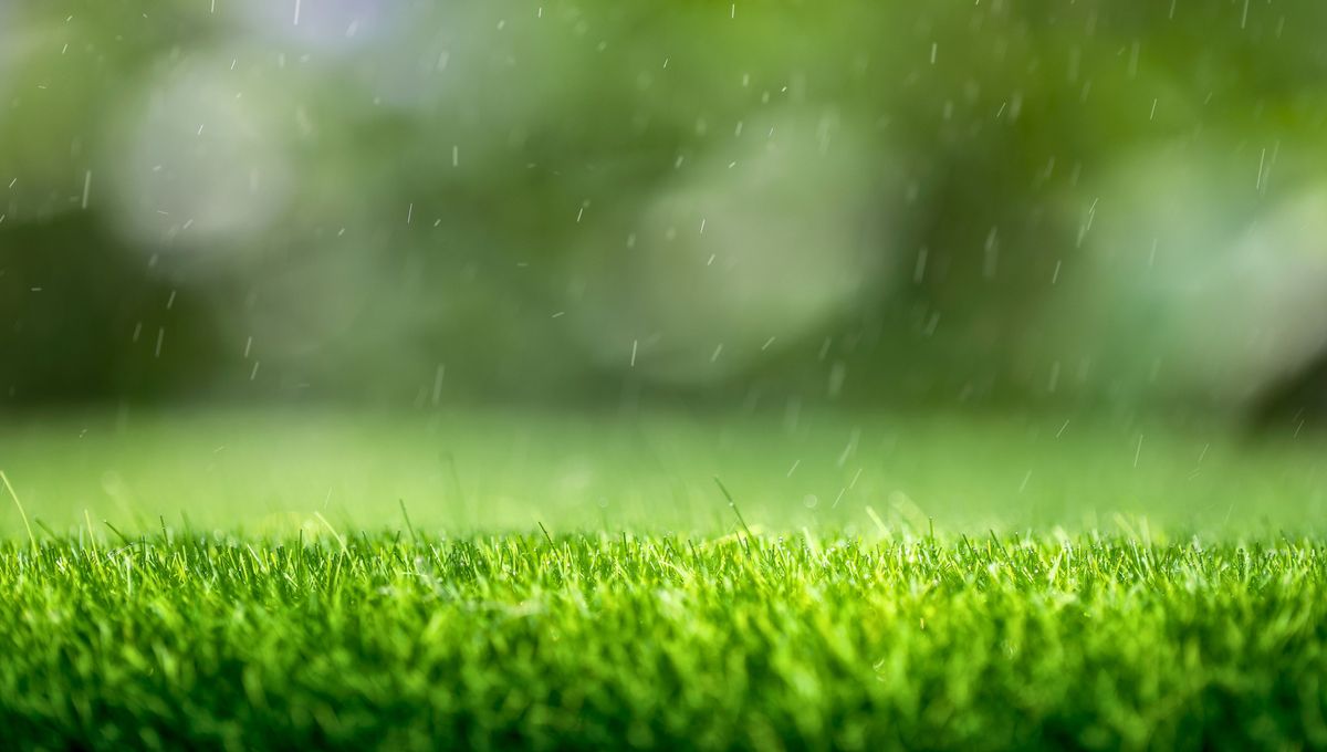 Toma esta palabra para apreciar y cuidar la naturaleza Toma esta palabra para apreciar y cuidar la naturaleza 