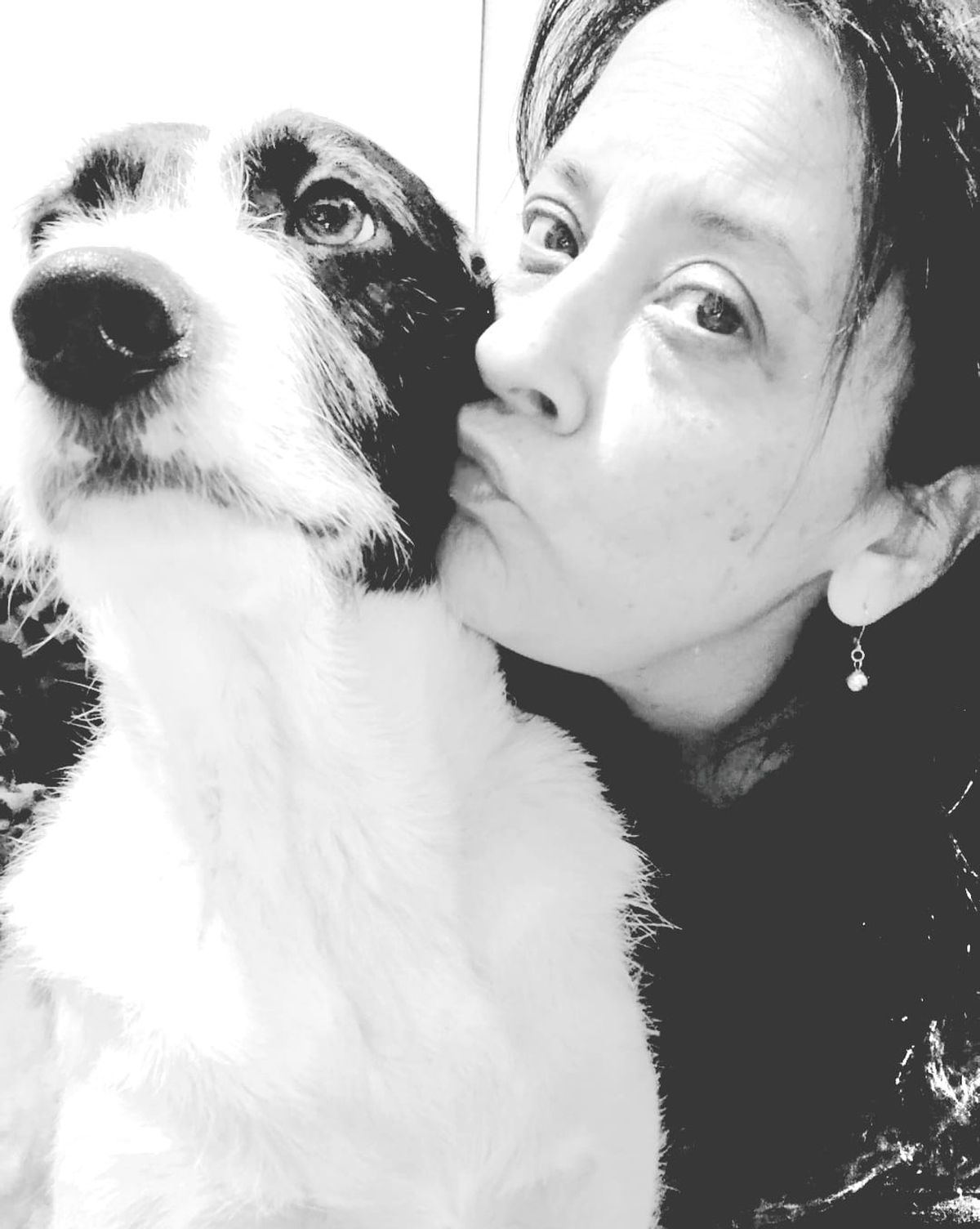 Amante de los animales, Iris Aguilar confiesa que los perros son su debilidad. Amante de los animales, Iris Aguilar confiesa que los perros son su debilidad.