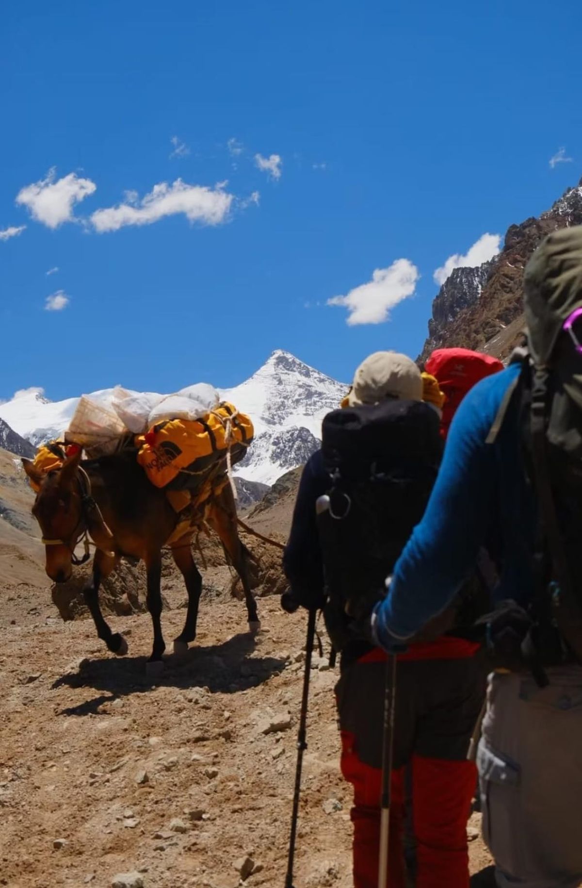Otro momento del desafío en el Aconcagua.