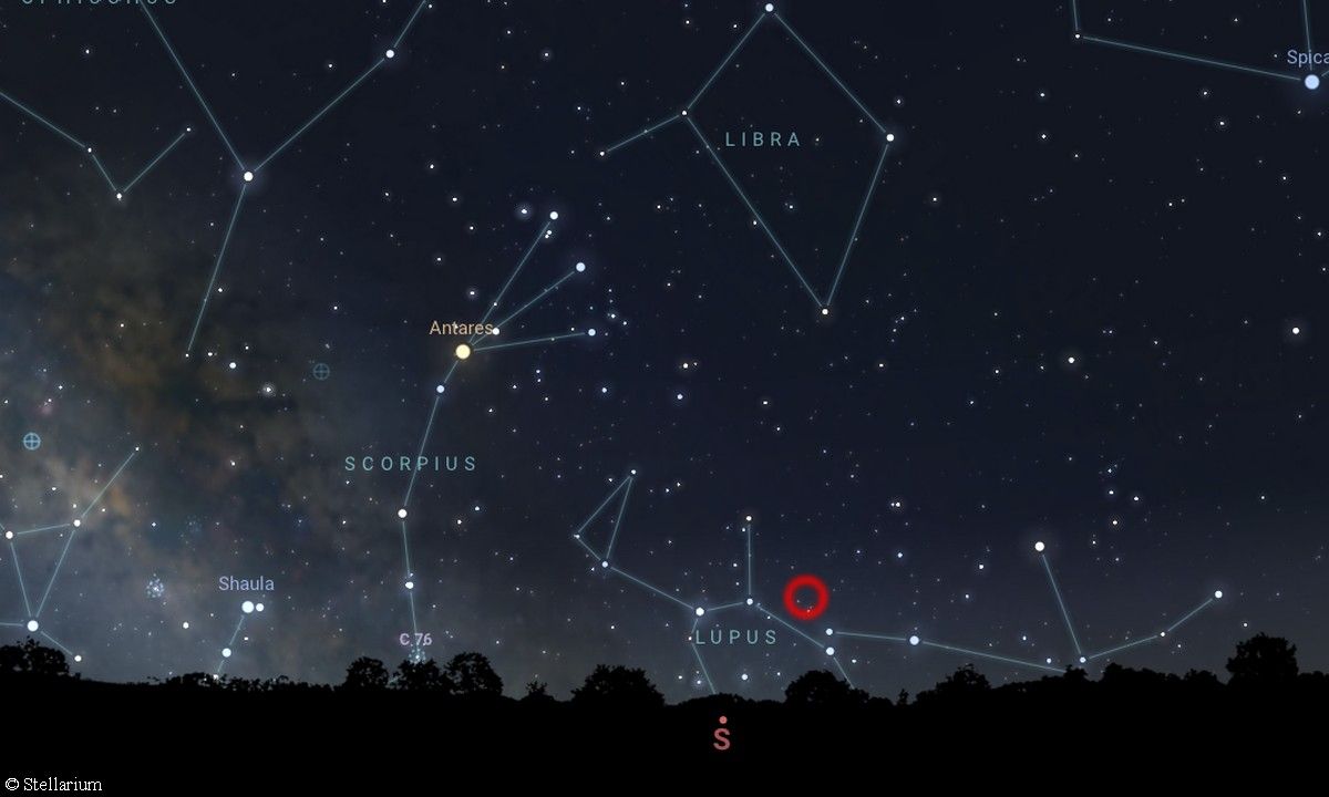 V462 Lupi, el estallido de estrellas que puede observarse en el cielo nocturno de junio V462 Lupi, el estallido de estrellas que puede observarse en el cielo nocturno de junio