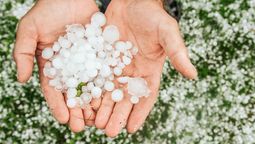 Evitá salir durante un alerta de granizo. Evitá salir durante un alerta de granizo.