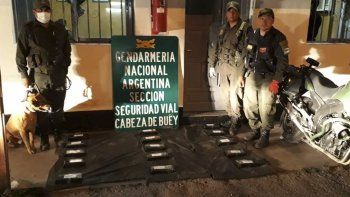 Hallaron 17 kilos de cocaína en un micro que venía a Mendoza