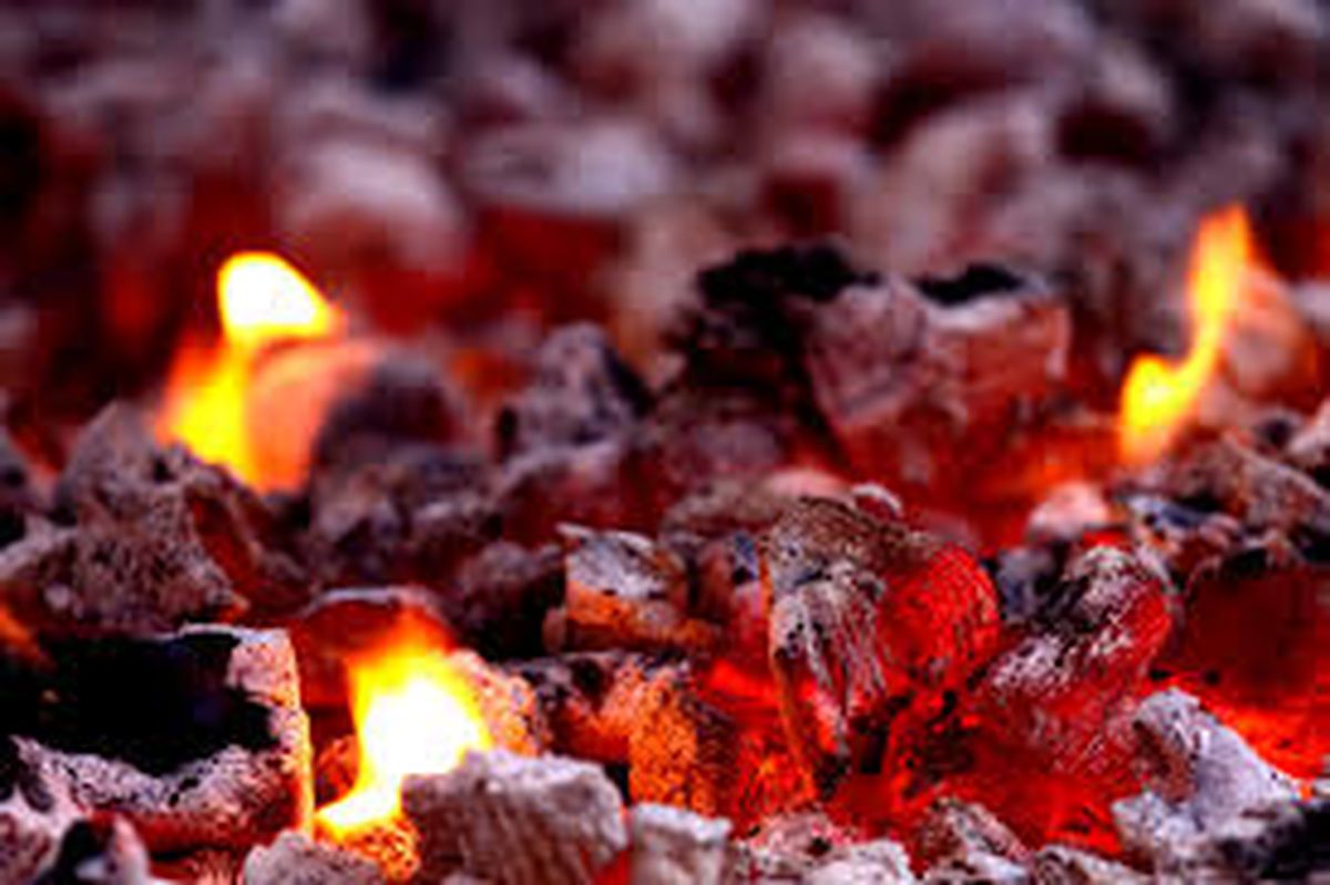 Las brasas mal apagadas de un asado provocaron el enorme incendio que arrasó con 15 hectáreas. Imagen ilustrativa. Las brasas mal apagadas de un asado provocaron el enorme incendio que arrasó con 15 hectáreas. Imagen ilustrativa. 