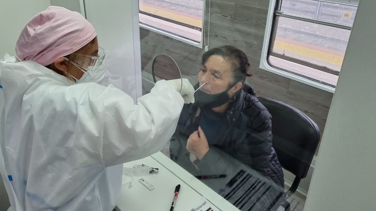 En las &uacute;ltimas 24 horas se realizaron 115.714 testeos de Covid en Argentina.