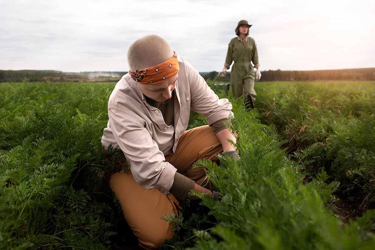 El programa H-2A permite a empleadores que enfrentan escasez de mano de obra nacional contratar trabajadores extranjeros temporales para labores agrícolas en Estados Unidos. Crédito: Freepik. El programa H-2A permite a empleadores que enfrentan escasez de mano de obra nacional contratar trabajadores extranjeros temporales para labores agrícolas en Estados Unidos. Crédito: Freepik.