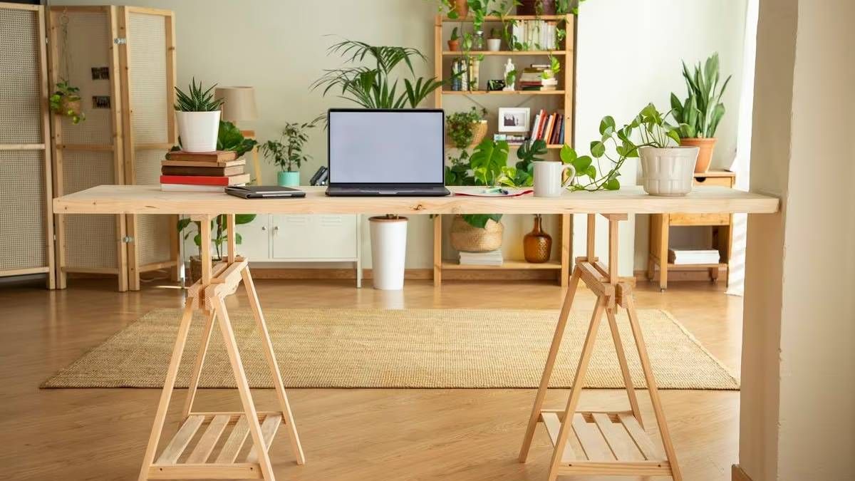 Feng Shui: la planta de la suerte que atrae dinero y debes poner al lado de la computadora