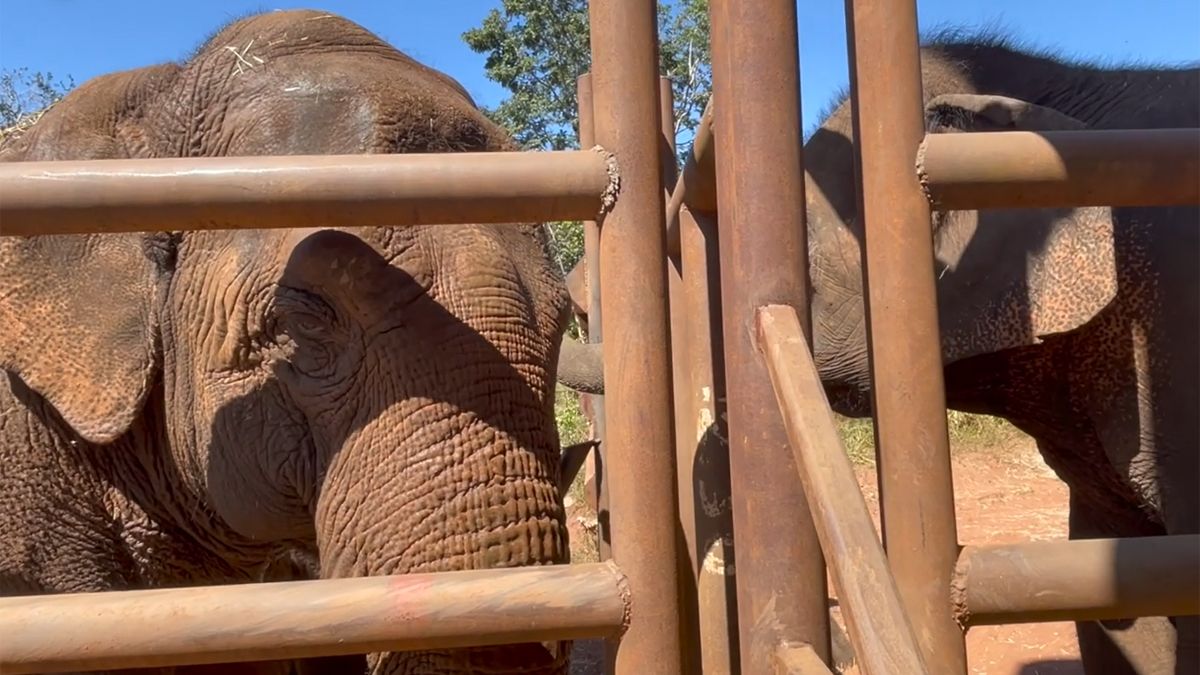 Maia interactuó con Pocha, quien se mostró más receptiva, mientras que Guillermina se quedó a un costado.