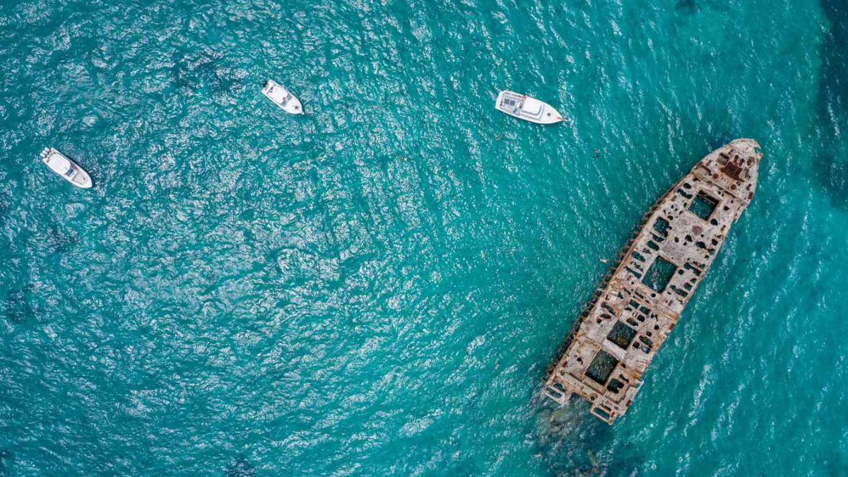 El agua de las islas Bimini es cristalina y permite descubrir la vida marina en profundidad. El agua de las islas Bimini es cristalina y permite descubrir la vida marina en profundidad.
