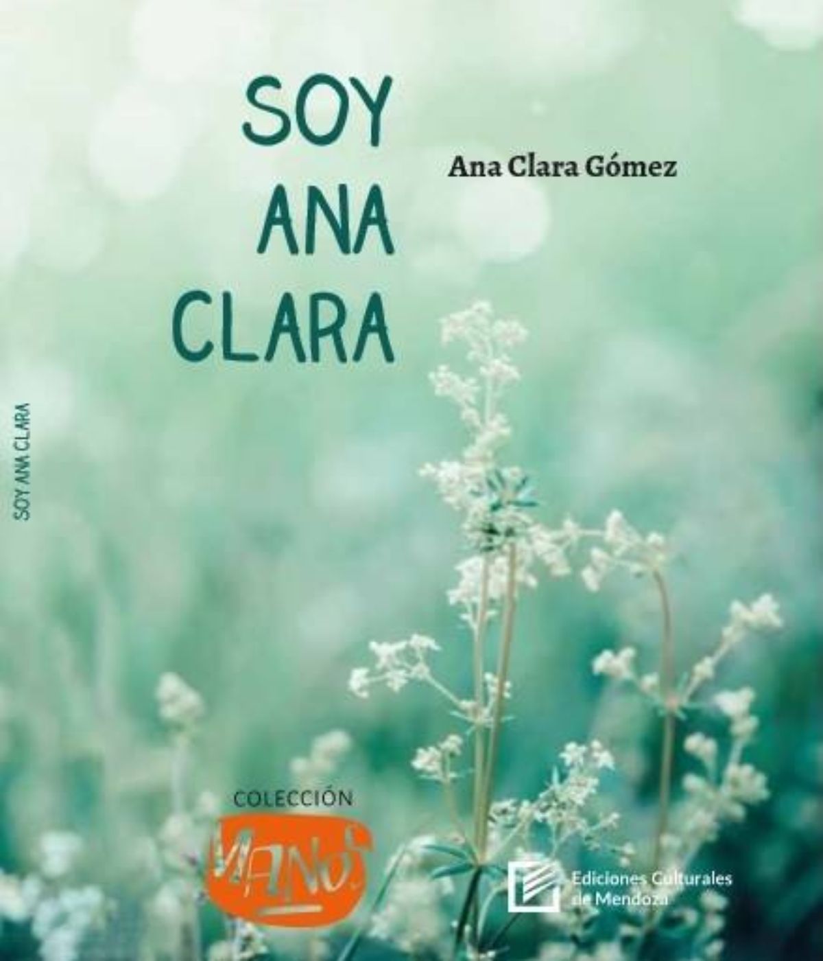 Además de aprender, Ana Clara Gómez tiene mucho para enseñar, y consciente de eso, hasta se animó a escribir un libro sobre sus vivencias.