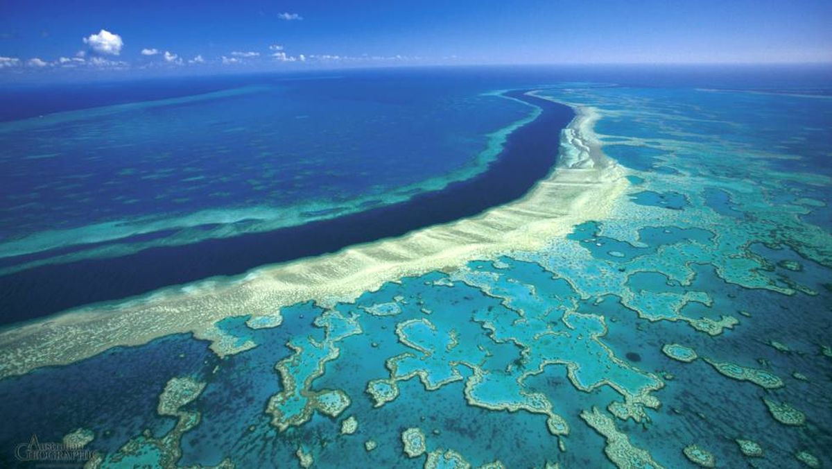 La Gran Barrera de Coral es la estructura con vida más grande del planeta.