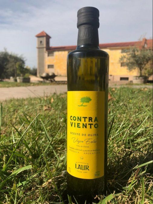 Contraviento, el aceite de oliva solo para mendocinos, fue elegido el mejor de América del Sur
