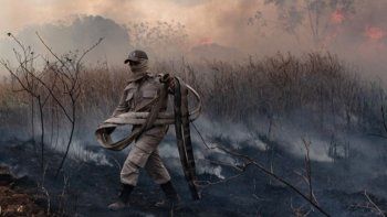 Bolsonaro suspende por 60 días la quema autorizada de árboles en el Amazonas