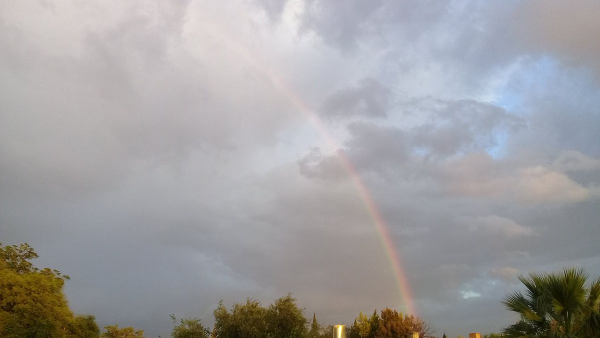 El arcoiris despertó a Mendoza: las postales del hermoso momento