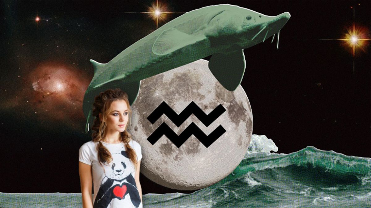 Astrología: los 5 signos que brillarán con el ingreso de la Luna en Acuario. Astrología: los 5 signos que brillarán con el ingreso de la Luna en Acuario.