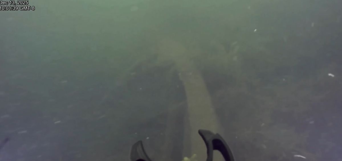 El robot da imágenes nunca vistas del fondo del lago.