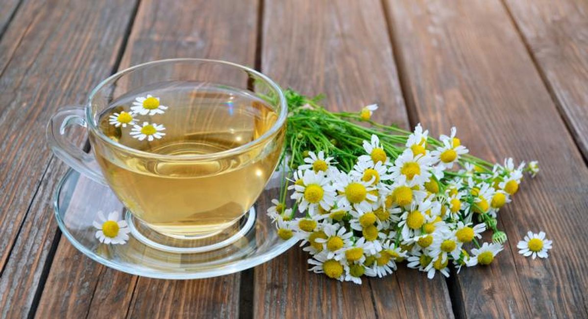 El té de matricaria es muy efectivo. El té de matricaria es muy efectivo.