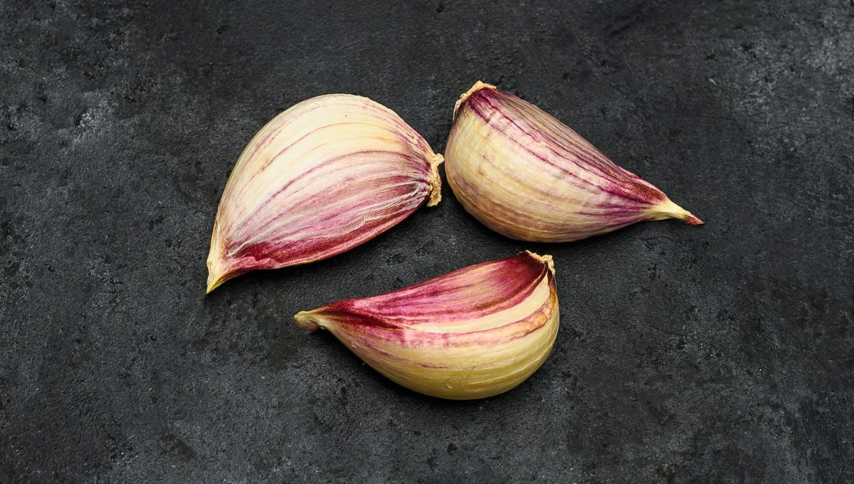 Puedes cultivar varios tipos de plantas y especias en el jardín. Puedes cultivar varios tipos de plantas y especias en el jardín. 