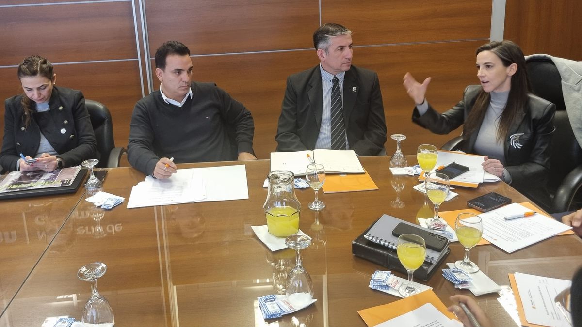 La ministra de Seguridad Mercedes Rus junto a sus pares de San Juan y San Luis en uno de los encuentros por el plan regional. La ministra de Seguridad Mercedes Rus junto a sus pares de San Juan y San Luis en uno de los encuentros por el plan regional.