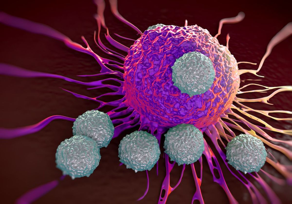 Científicos consiguen modificar células para combatir el cáncer: las pruebas que generan esperanza