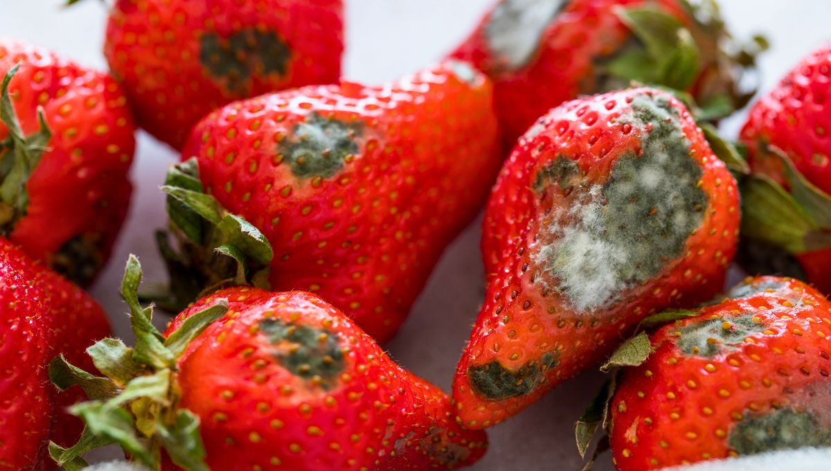 Lo mejor es usar vinagre de limpieza para realizar este tipo de procedimientos.&nbsp;