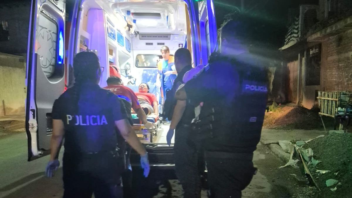 Policías asistieron el parto de una mujer que comenzó con contracciones en su casa de Maipú