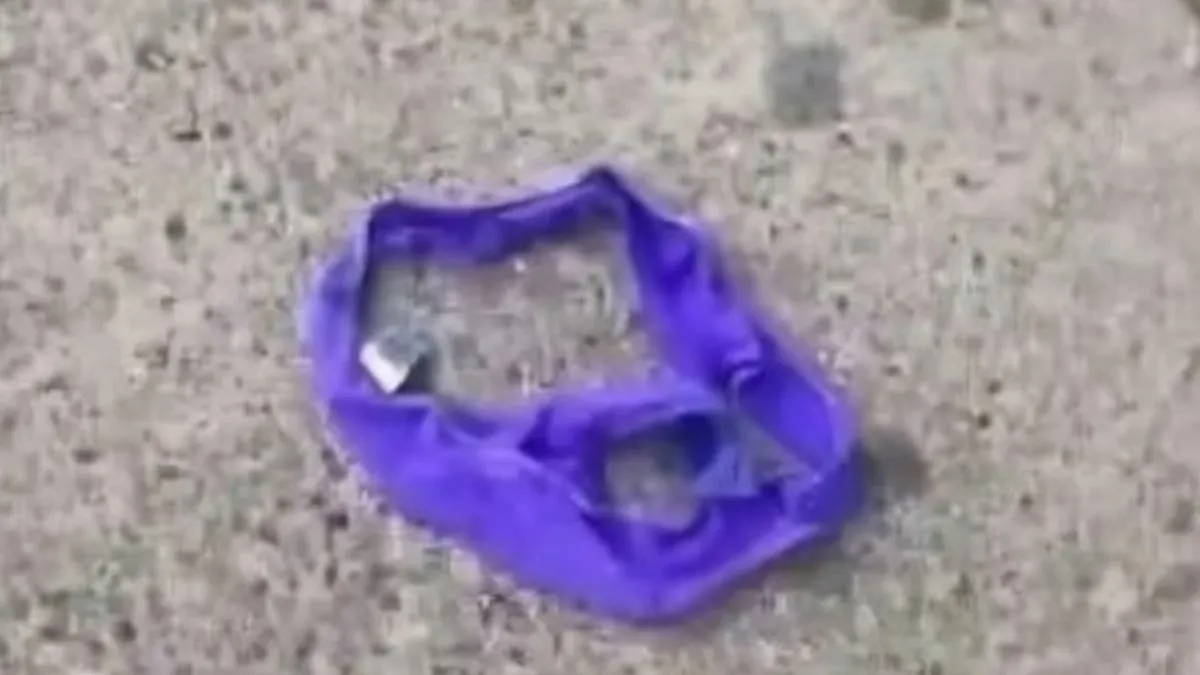 Culpable. Esta es la bombacha voladora que le causó un accidente a un motociclista. Culpable. Esta es la bombacha voladora que le causó un accidente a un motociclista. 