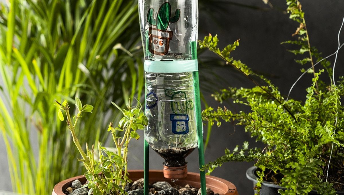 Muchas personas recomiendan el uso de botellas de plástico en las plantas del jardín
