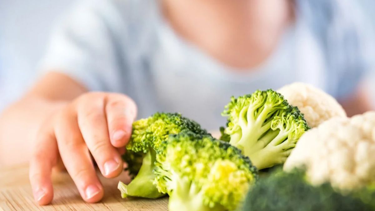 La nutrición en Argentina: preocupación durante los segundos mil días de vida