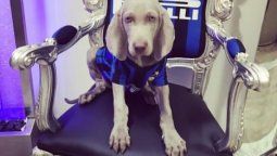 Icardi tuvo el aliento del hincha menos esperado