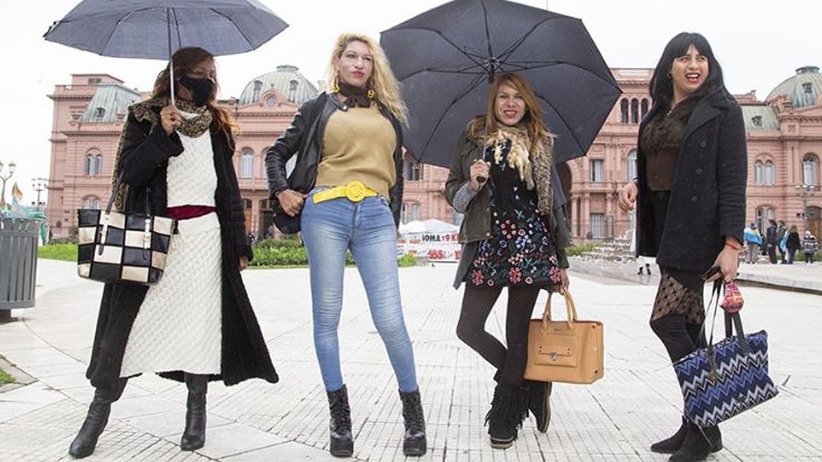 Las personas travestis y trans de más de 40 años podrían acceder a una pensión si se aprueba un proyecto que analiza Diputados.