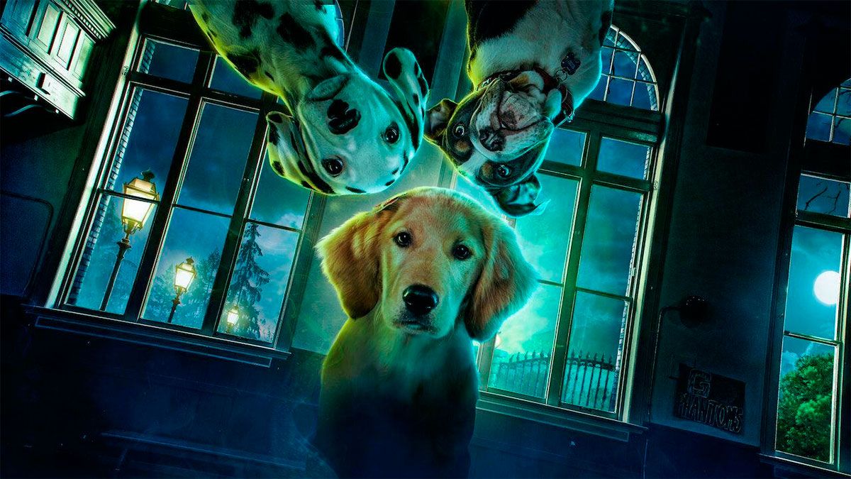 Netflix estrenará esta semana una divertida comedia infantil: "Cachorros fantasmas".