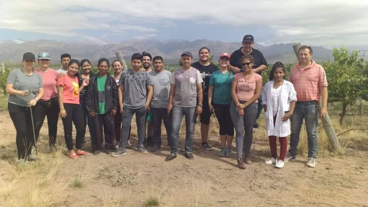 Donaciones: el vino hecho por estudiantes irá a Cáritas 