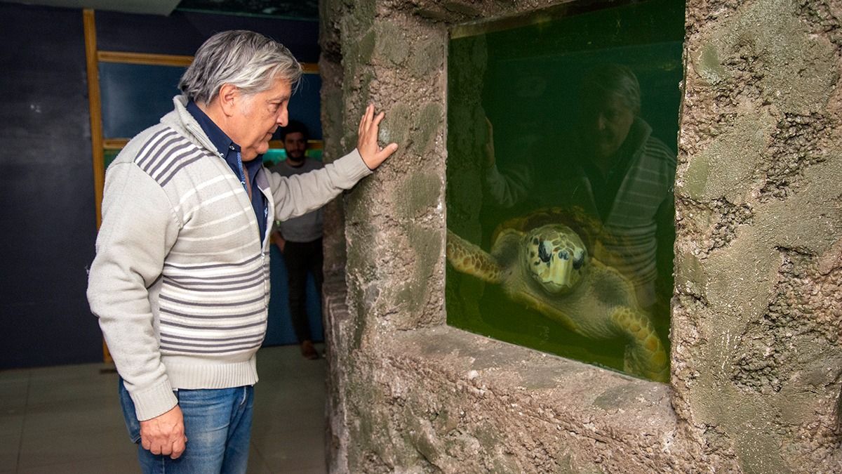 Federico Correa es el veterinario exclusivo del tortugo Jorge. En el último año le hicieron estudios al animal y está en perfecto estado de salud.