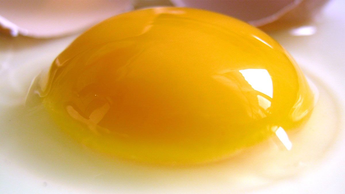 Se puede hacer un huevo frito con agua y que salga prácticamente igual que hecho en aceite.&nbsp;