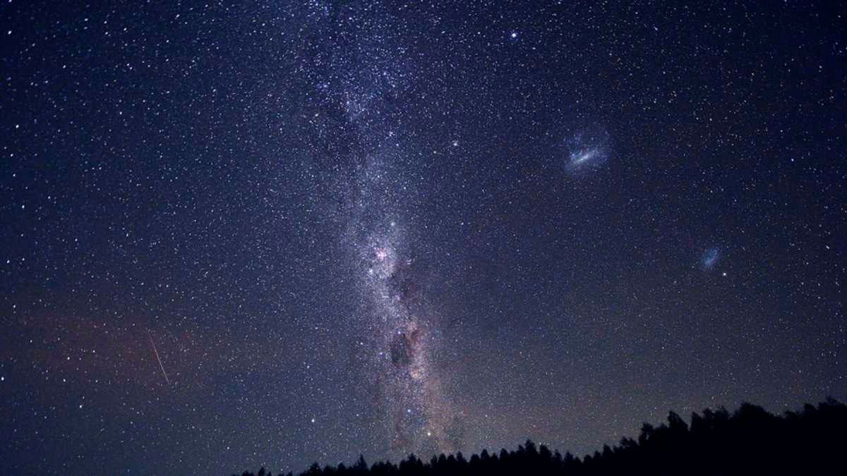 El equipo investigador trabaja ahora en entender lo que han encontrado.