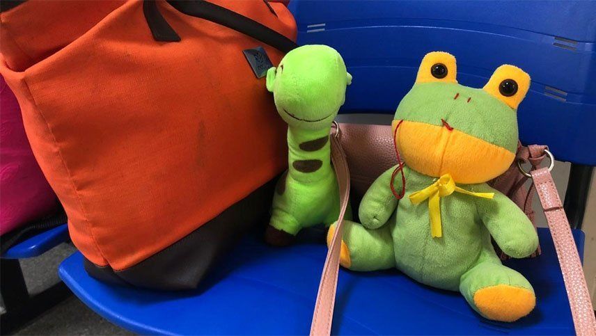 Una jirafa y un sapo de peluches, los acompañantes de una nena de 10 años que logró abortar